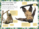 DK Reader Level 2: Sloths
