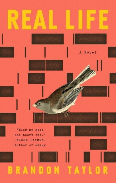 Real Life : A Novel by Brandon Taylor Real Life : A Novel by Brandon Taylor