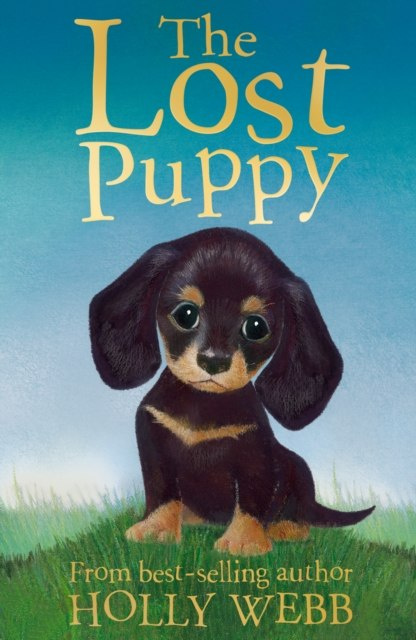 The Lost Puppy by Holly Webb (Author) The Lost Puppy by Holly Webb (Author)
