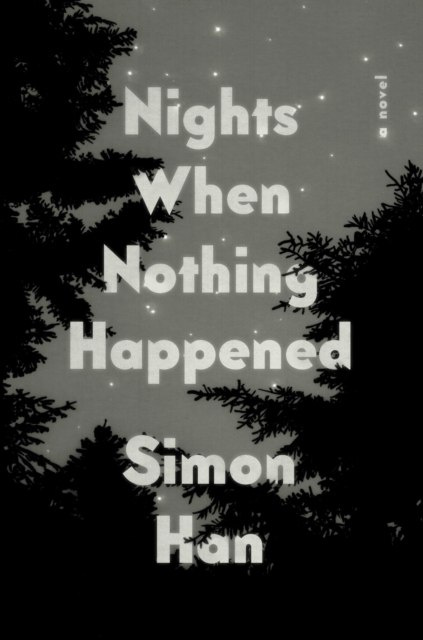 Nights When Nothing Happened : A Novel
