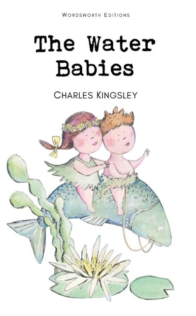 The Water Babies by Charles Kingsley Jr. The Water Babies by Charles Kingsley Jr.