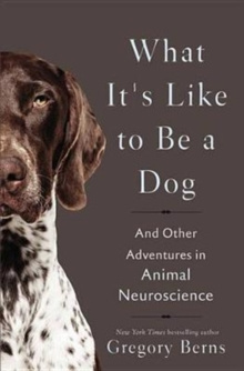 What It's Like to Be a Dog : And Other Adventures in Animal Neuroscience by Gregory Berns What It's Like to Be a Dog : And Other Adventures in Animal Neuroscience by Gregory Berns
