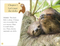 DK Reader Level 2: Sloths