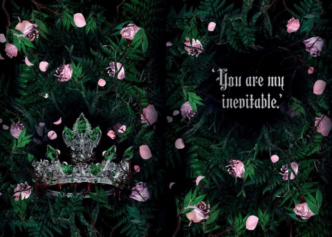 Lauren Roberts: Fearless Journal - Insight Editions