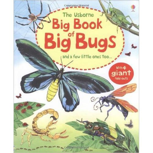 Big Book of Big Bugs by Emily Bone Big Book of Big Bugs by Emily Bone