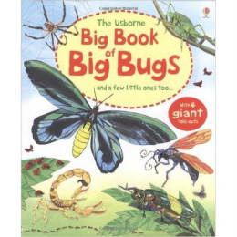 Big Book of Big Bugs by Emily Bone