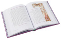 Aesop's Fables (Barnes & Noble Children's Leatherbound Classics) by Aesop