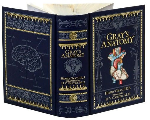 Thebookshop Pl Anglojezyczna Ksiegarnia Internetowa Gray S
