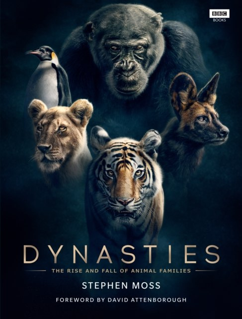 Dynasties : The Rise and Fall of Animal Families by Stephen Moss