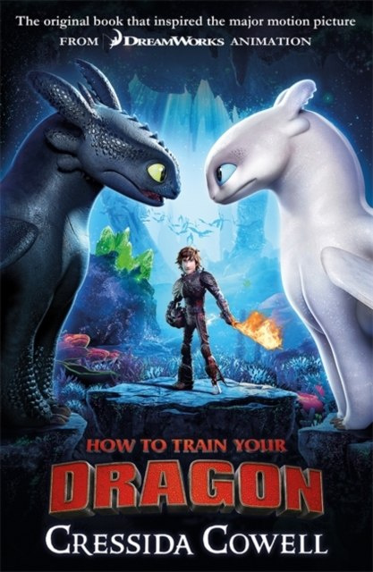 How to Train Your Dragon : Book 1 by Cressida Cowell